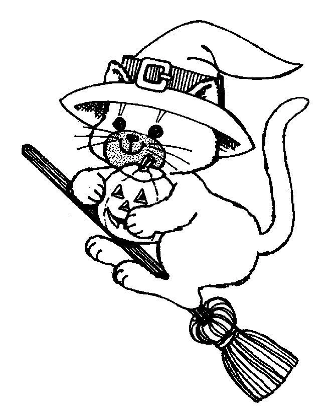 Coloring cat on a broom in Halloween
